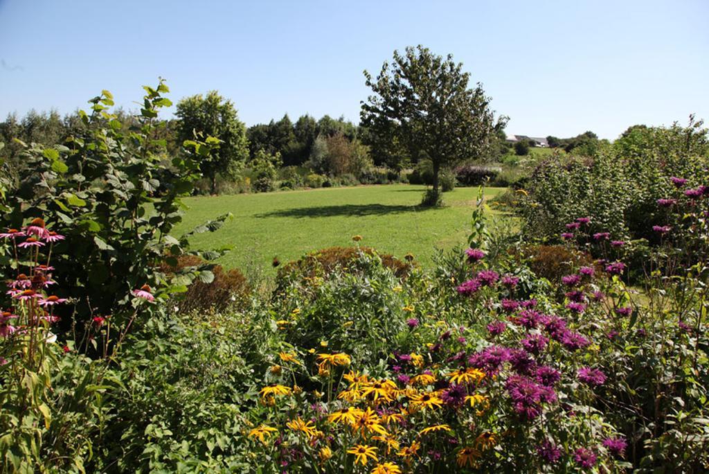 La Citadelle D'Hututu Bed & Breakfast Avesnes-sur-Helpe Exterior photo